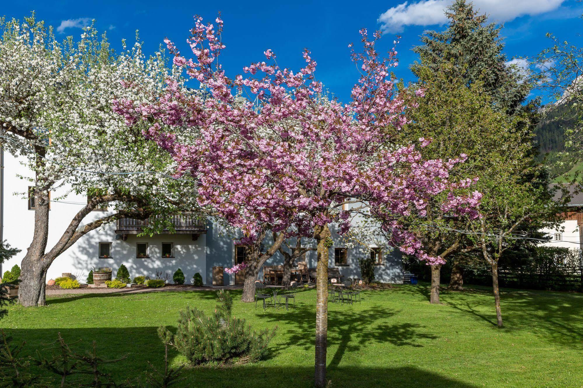 Residence Mitterdorfer Abfaltersbach Exterior photo